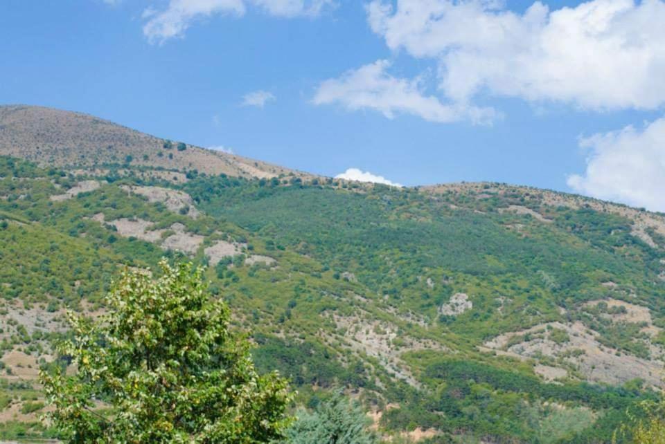 Rooms Low Price Σόποτ Εξωτερικό φωτογραφία